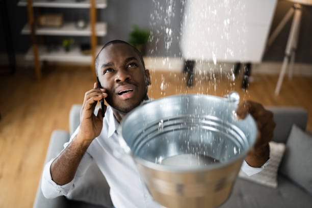 Best Water damage restoration mold remediation  in Canyon Lake, TX
