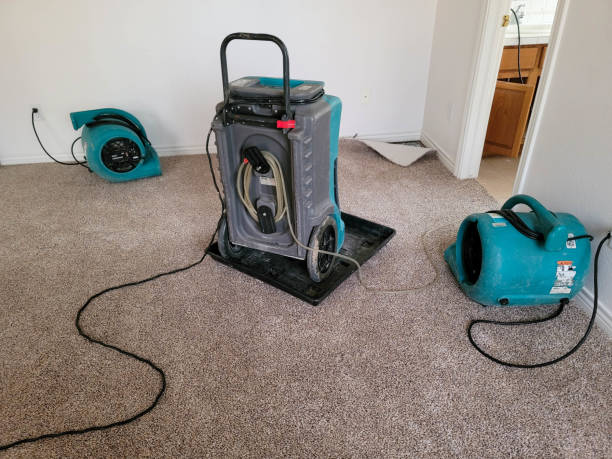 Best Water damage restoration near me  in Canyon Lake, TX