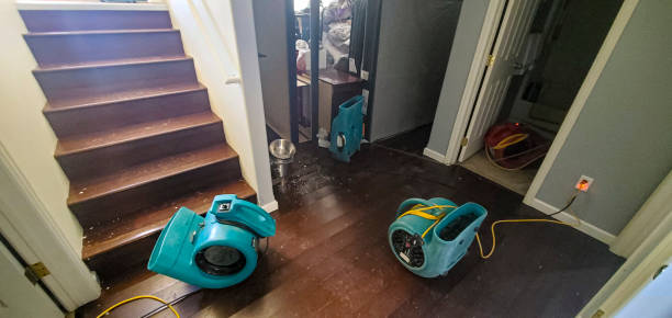 Best Residential water damage restoration  in Canyon Lake, TX
