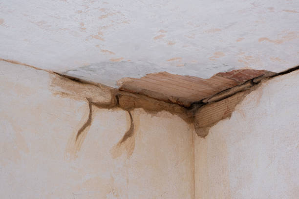 Professional Water damage restoration in Canyon Lake, TX