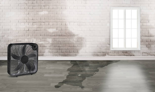 24/7 water damage repair in Canyon Lake, TX