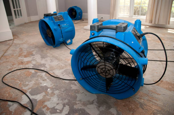 Best Carpet water damage restoration  in Canyon Lake, TX