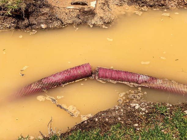 Best Local water damage restoration  in Canyon Lake, TX