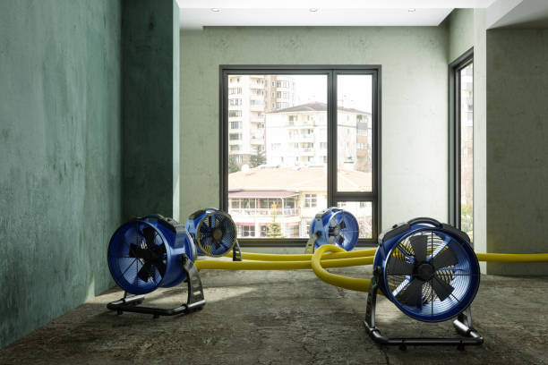Best Emergency water damage restoration  in Canyon Lake, TX
